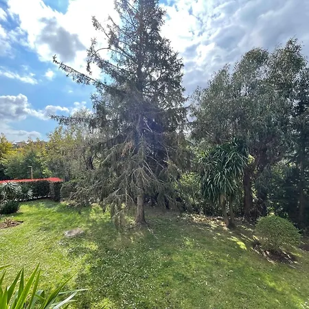 2 Bedrooms With Swimming Pool Appartement Mandelieu